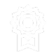 Winning awards icon